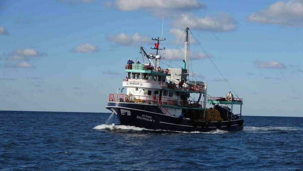 Ordu’da palamut fiyatları düştü: Kiloluk palamutlar 40 lira