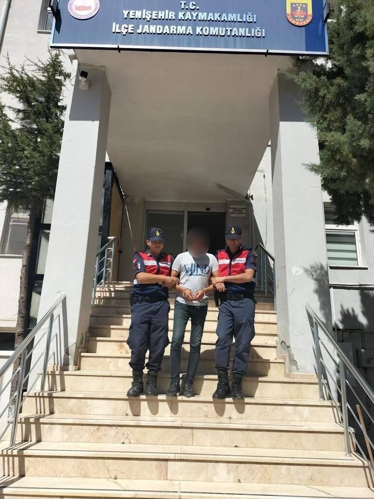 Bursa’da kenevir tarlasına jandarma baskını