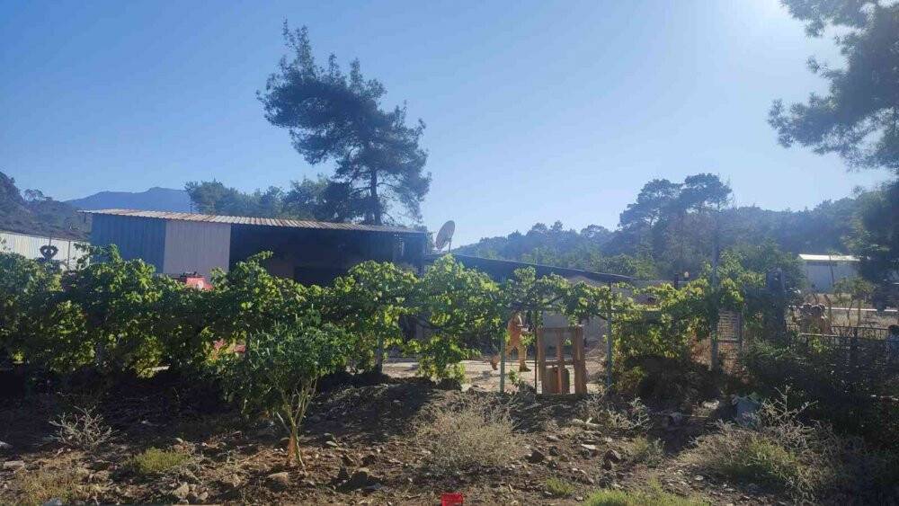 Marmaris’teki yangın ormana sıçramadan kontrol altına alındı