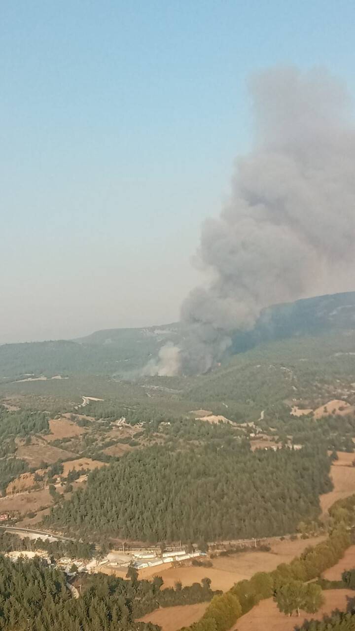 Bursa’nın Orhaneli ilçesinde orman yangını