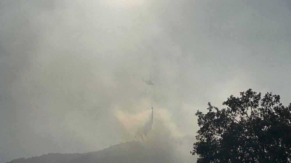 Eskişehir’de çıkan orman yangınına müdahale devam ediyor