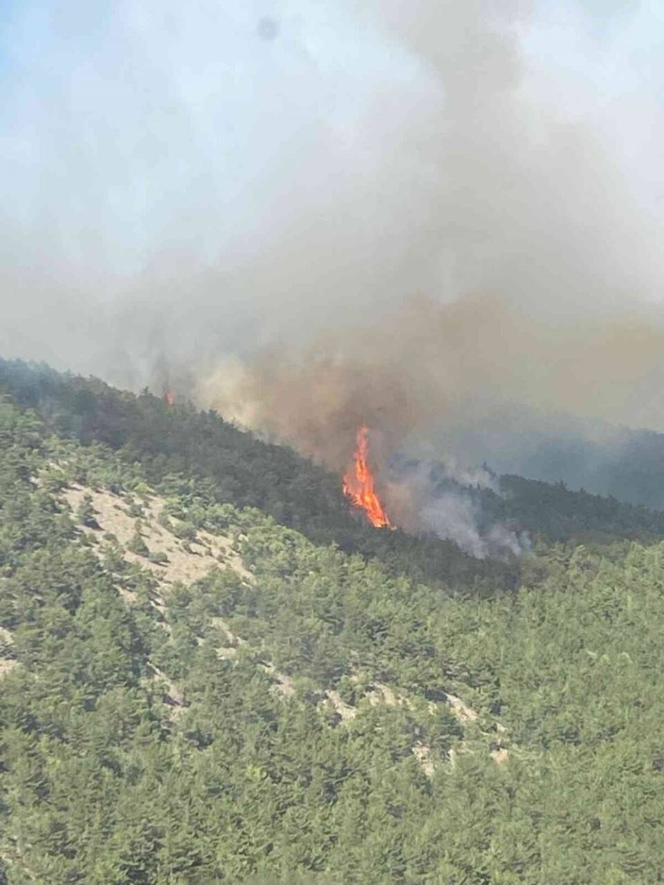 Eskişehir’de orman yangını kontrol altına alındı