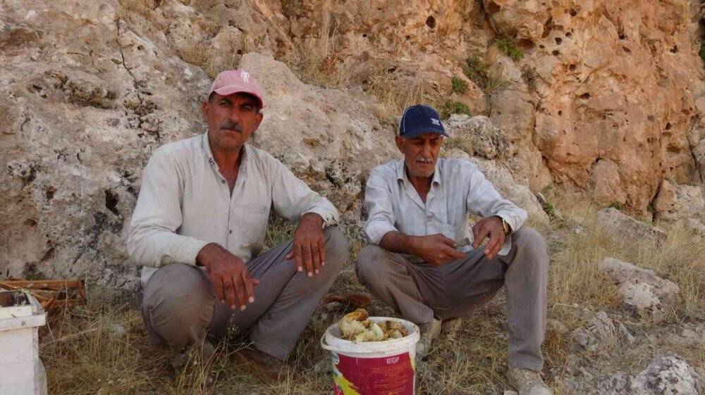 Ölüme meydan okuyup 200 metrelik kayalıklardan "kaya balını" topladı