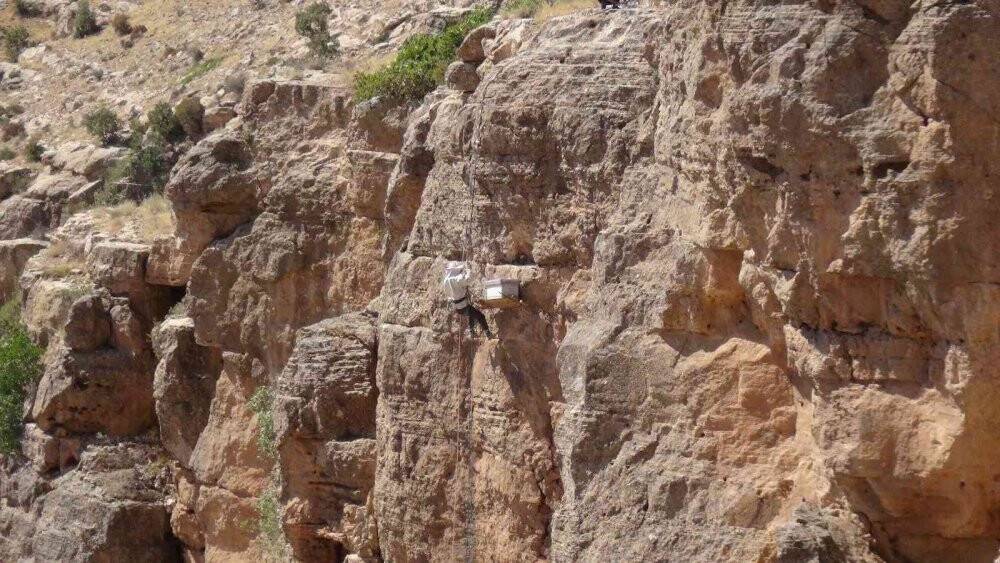 Ölüme meydan okuyup 200 metrelik kayalıklardan "kaya balını" topladı