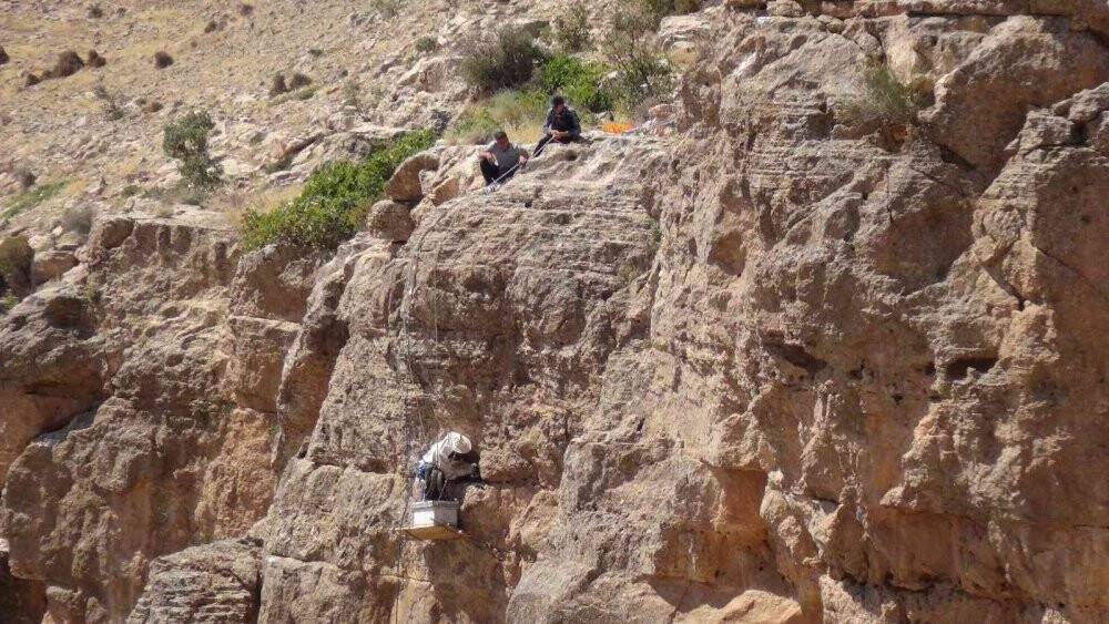 Ölüme meydan okuyup 200 metrelik kayalıklardan "kaya balını" topladı