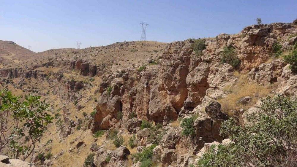 Ölüme meydan okuyup 200 metrelik kayalıklardan "kaya balını" topladı