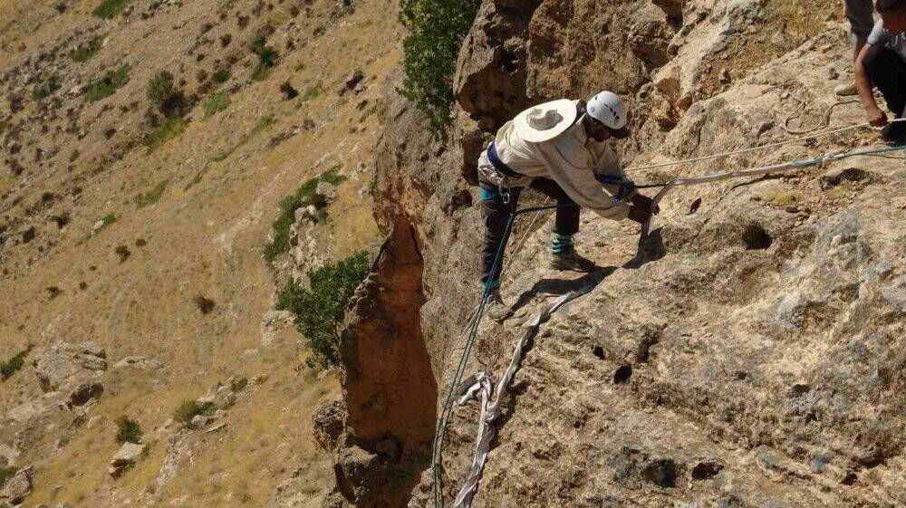 Ölüme meydan okuyup 200 metrelik kayalıklardan "kaya balını" topladı
