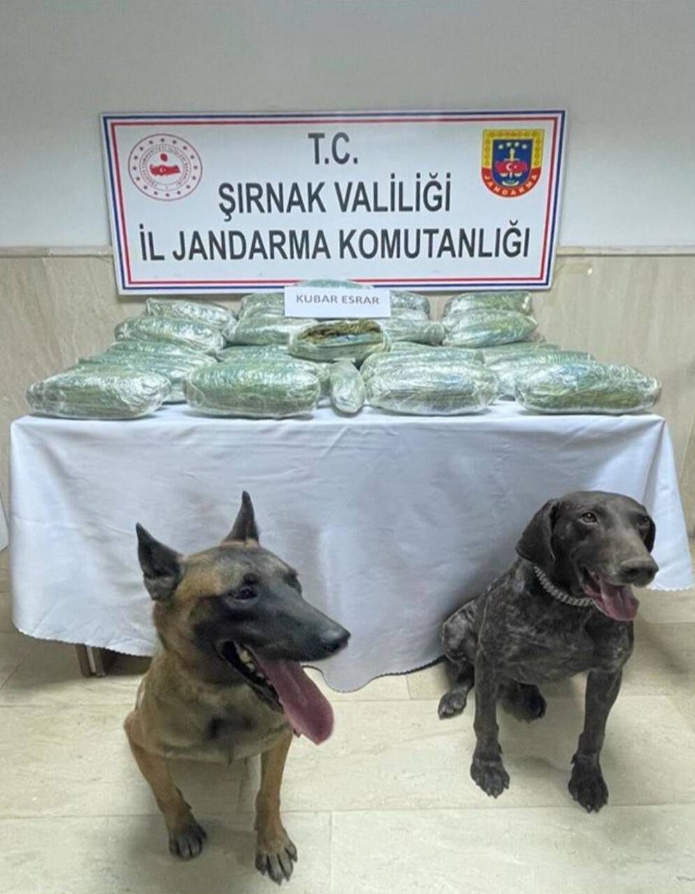 28 kilo 542 gram kubar esrar ’Yüzey’ ve ’Siklet’in burnundan kaçmadı