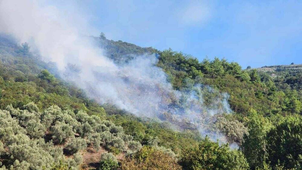 İznik’te orman yangını