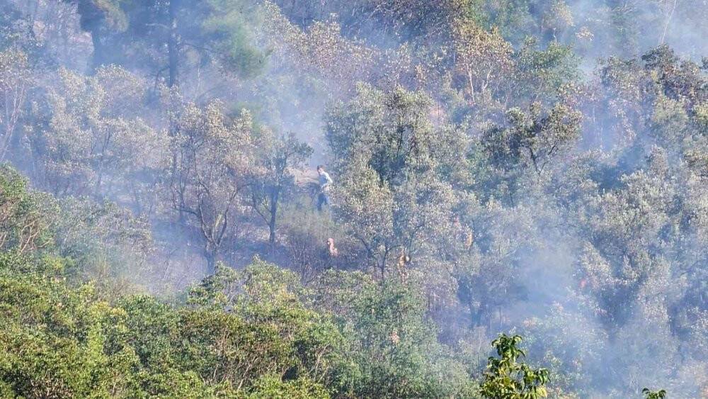 İznik’te orman yangını