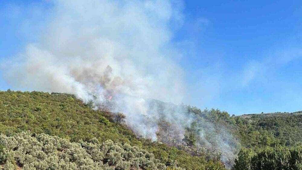 İznik’te orman yangını
