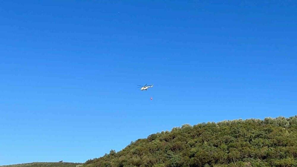 İznik’te orman yangını