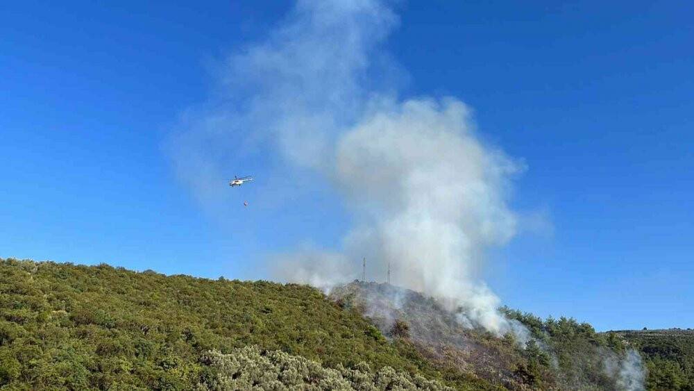 İznik’te orman yangını