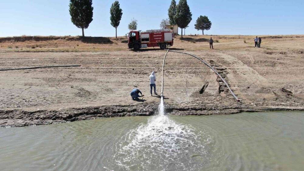 Uyarıları dinlemediler, kuruttukları gölette binlerce balık öldü