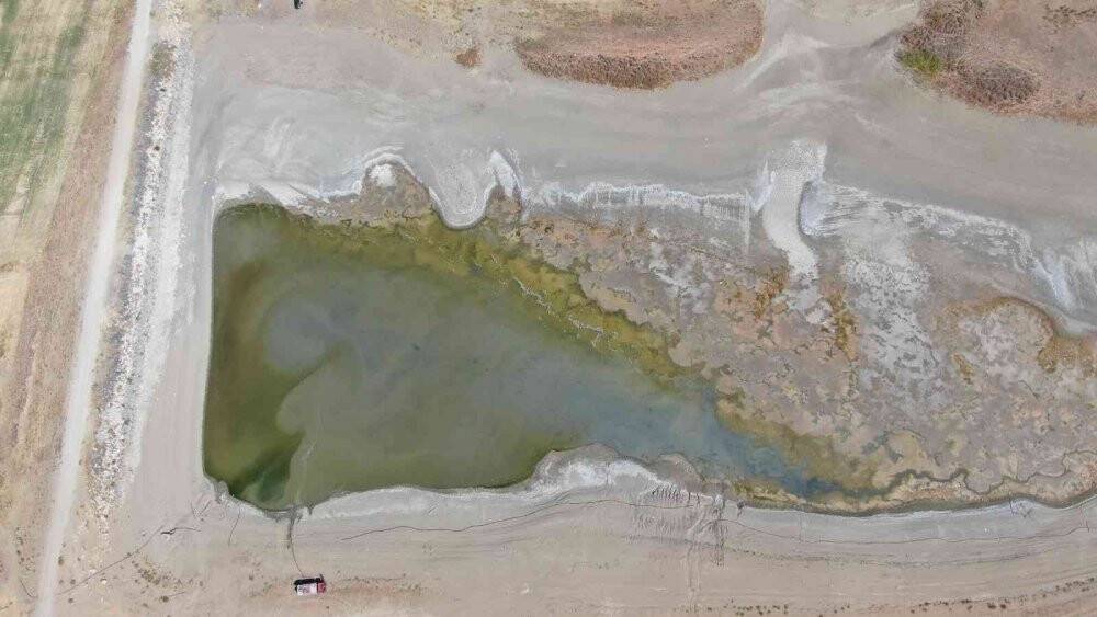 Uyarıları dinlemediler, kuruttukları gölette binlerce balık öldü