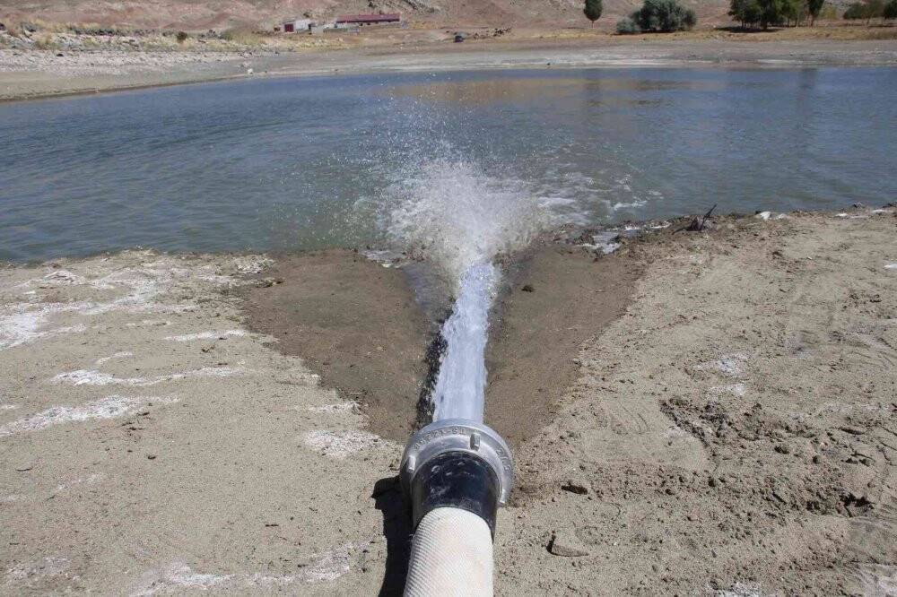 Uyarıları dinlemediler, kuruttukları gölette binlerce balık öldü