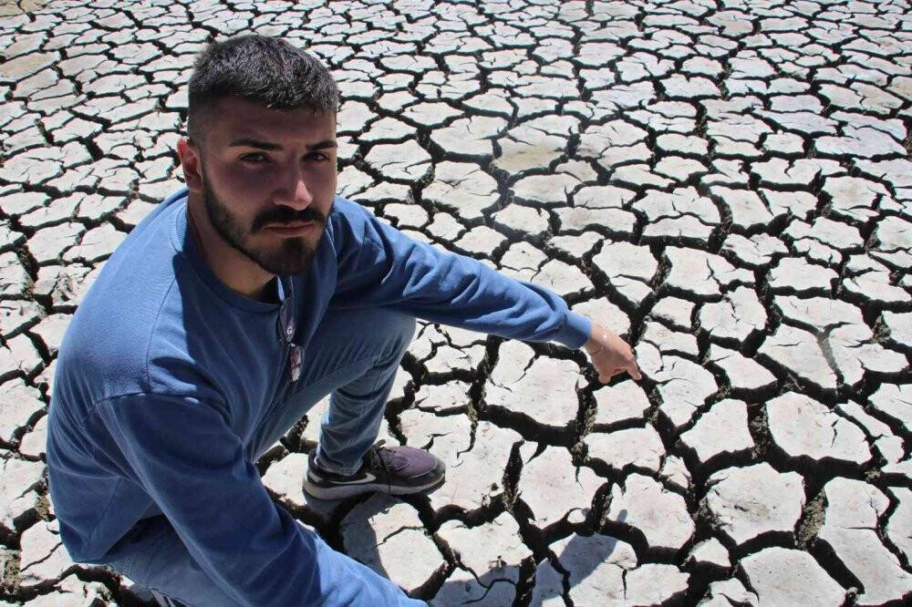 Uyarıları dinlemediler, kuruttukları gölette binlerce balık öldü