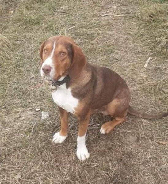 Vicdansızlar bunu da yaptılar