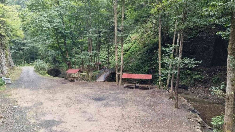 Ormanın yüzüğünün çevresi yeniden düzenleniyor