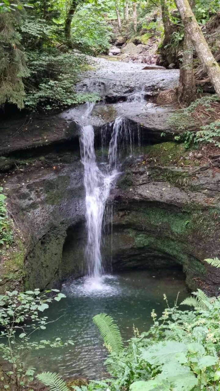 Ormanın yüzüğünün çevresi yeniden düzenleniyor
