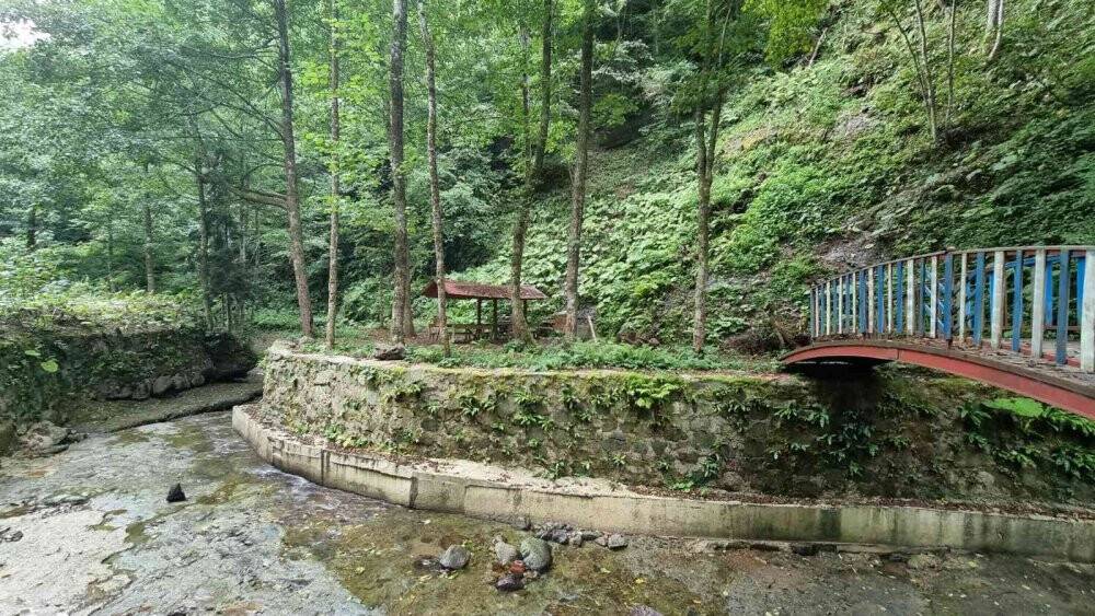 Ormanın yüzüğünün çevresi yeniden düzenleniyor