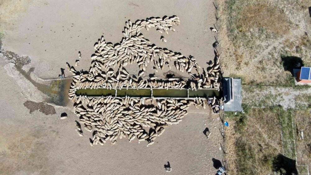 Suya ulaşmak için 15 kilometrelik tozlu yolculuk