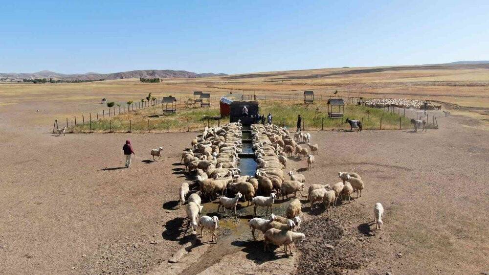 Suya ulaşmak için 15 kilometrelik tozlu yolculuk