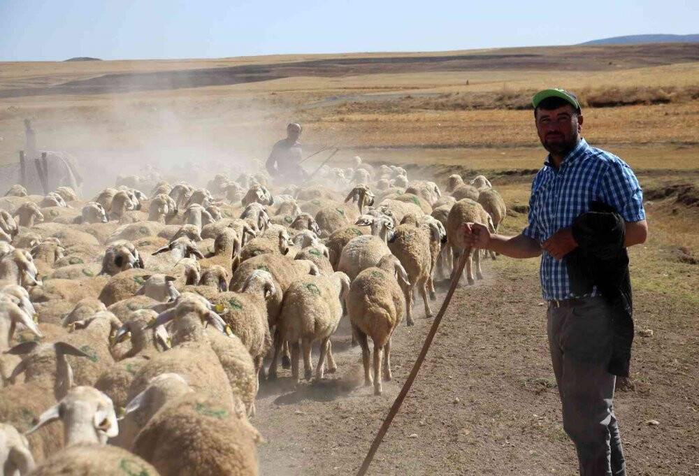 Suya ulaşmak için 15 kilometrelik tozlu yolculuk