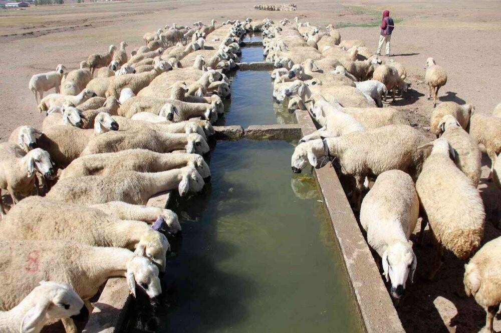 Suya ulaşmak için 15 kilometrelik tozlu yolculuk