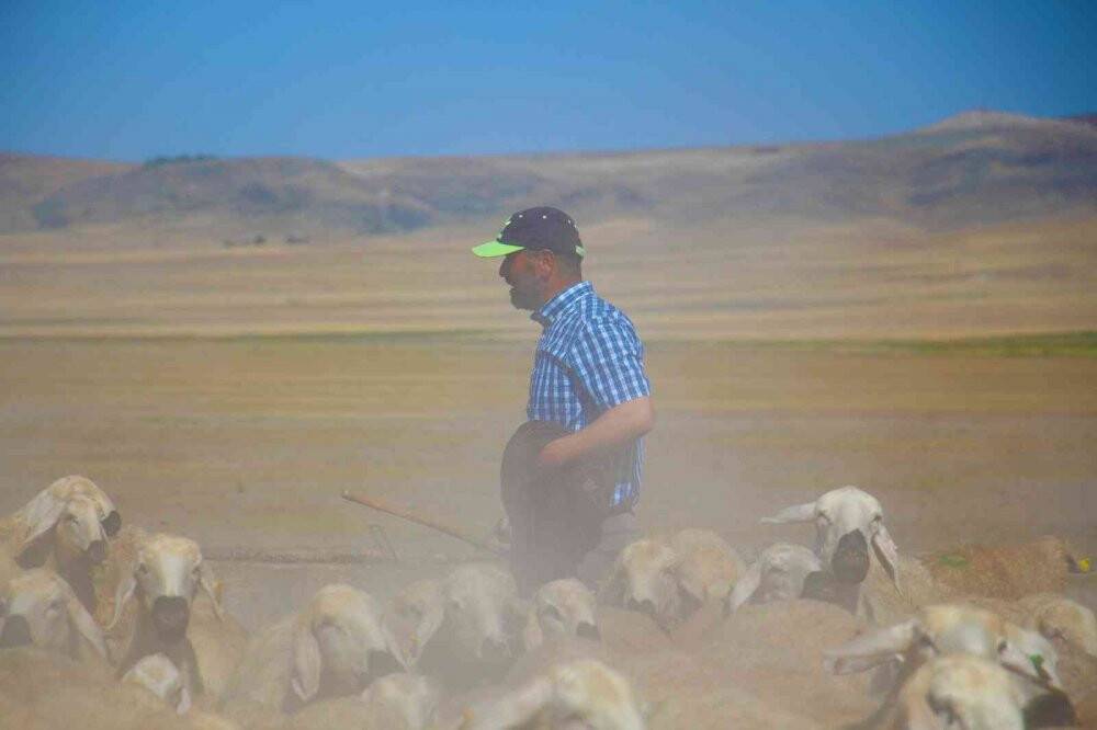 Suya ulaşmak için 15 kilometrelik tozlu yolculuk