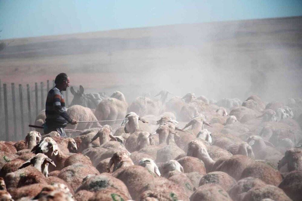 Suya ulaşmak için 15 kilometrelik tozlu yolculuk