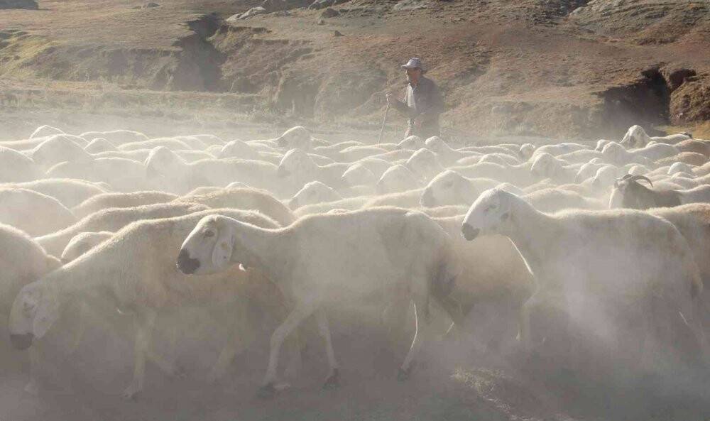 Suya ulaşmak için 15 kilometrelik tozlu yolculuk