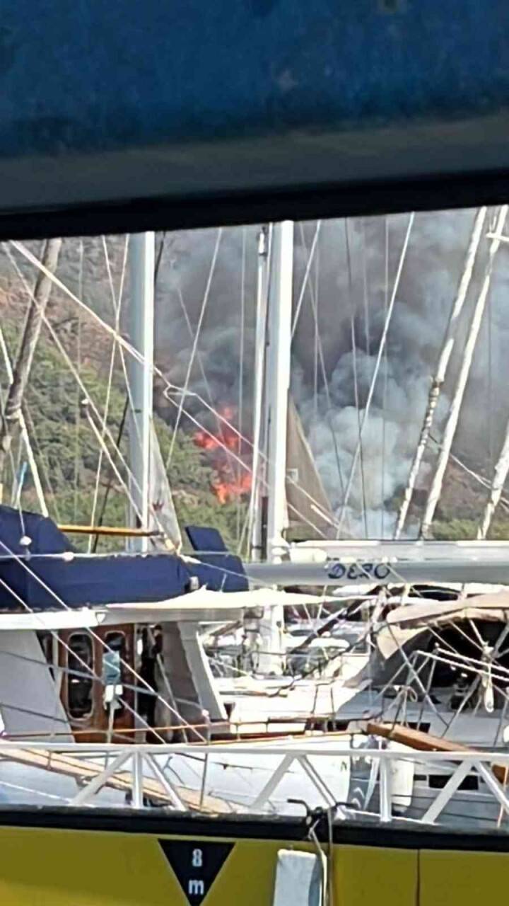 Marmaris’te orman yangını