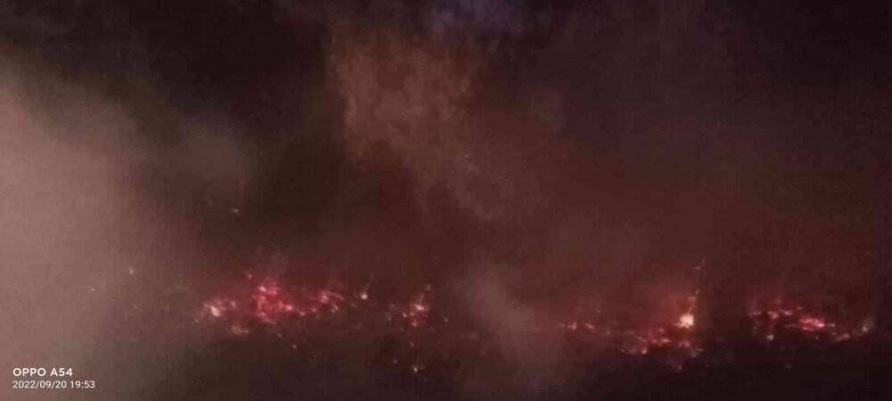 Milli Park’ta orman yangını çıktı, facia ucuz atlatıldı