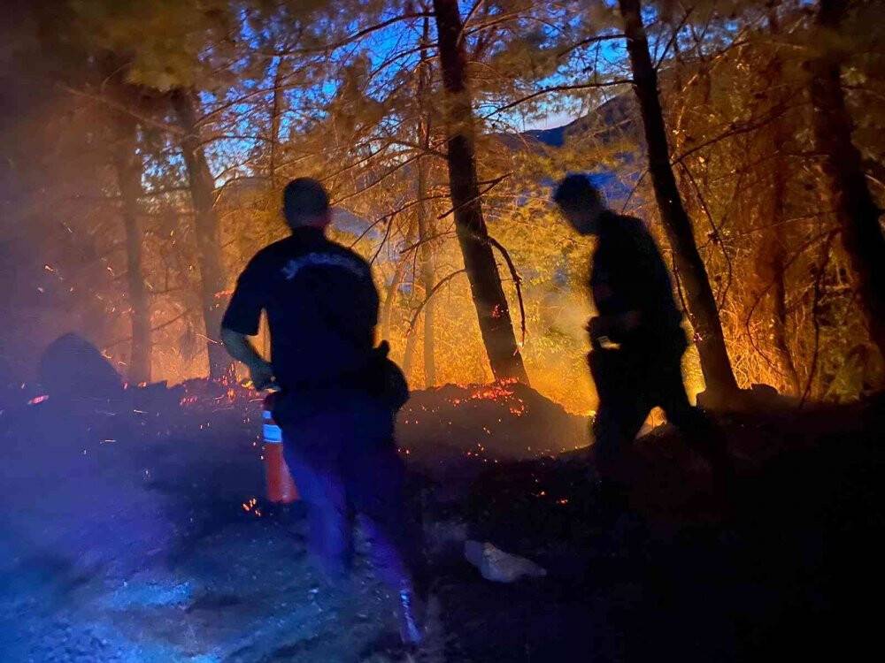 Milli Park’ta orman yangını çıktı, facia ucuz atlatıldı