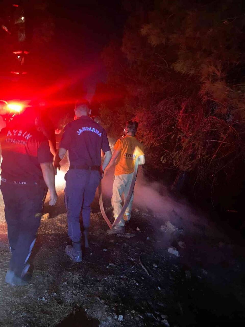 Milli Park’ta orman yangını çıktı, facia ucuz atlatıldı