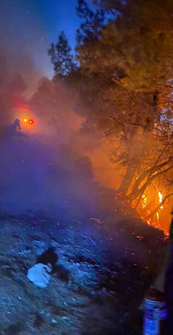 Milli Park’ta orman yangını çıktı, facia ucuz atlatıldı