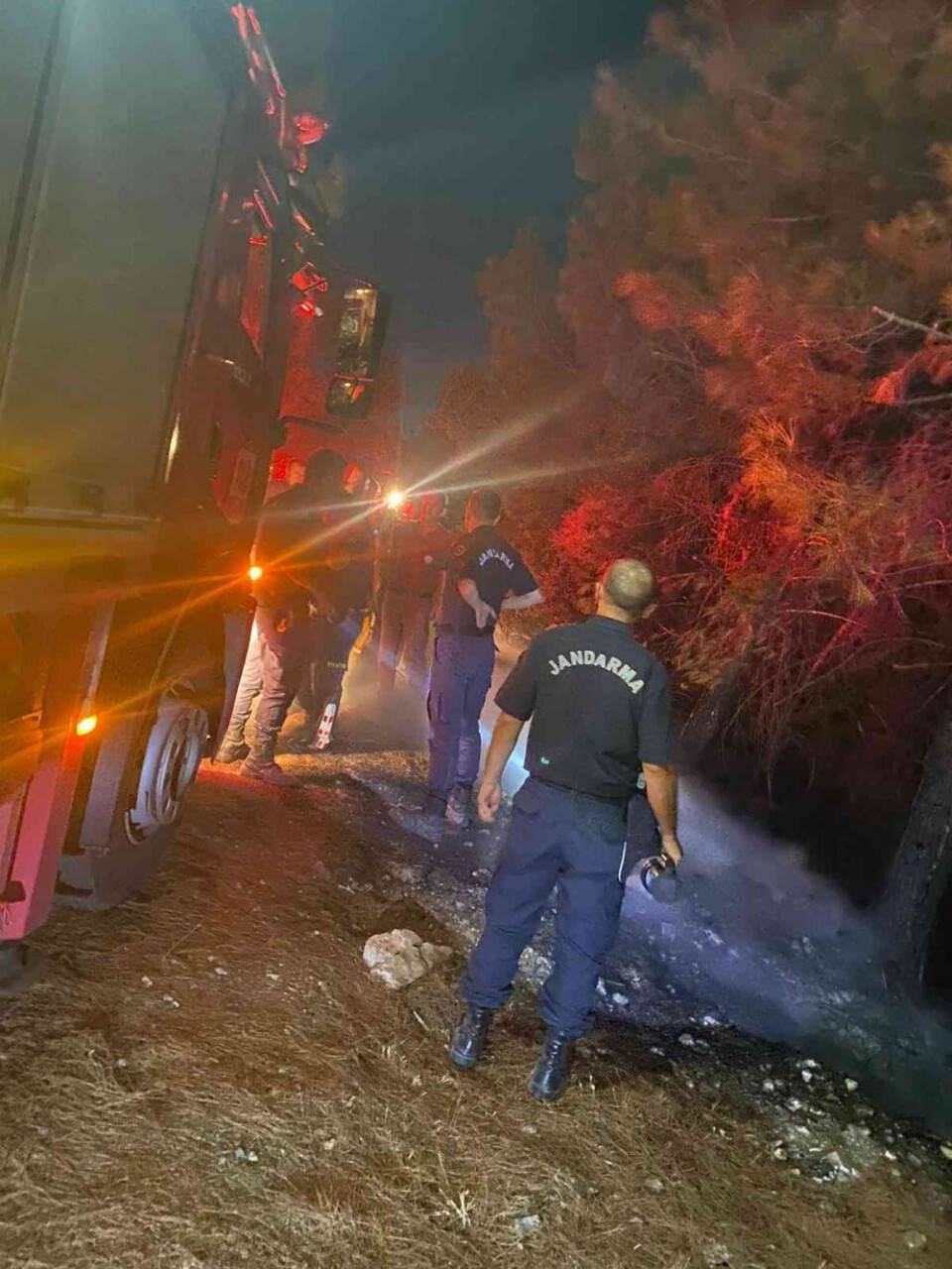 Milli Park’ta orman yangını çıktı, facia ucuz atlatıldı