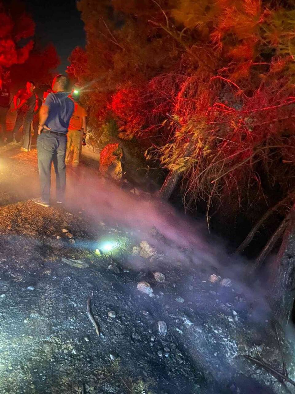 Milli Park’ta orman yangını çıktı, facia ucuz atlatıldı