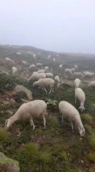 Uludağ’a ilk kar düştü