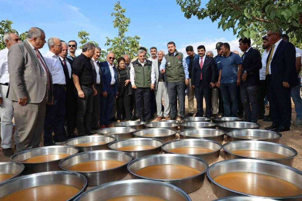 Şanlıurfa’da bağ bozumu festivali