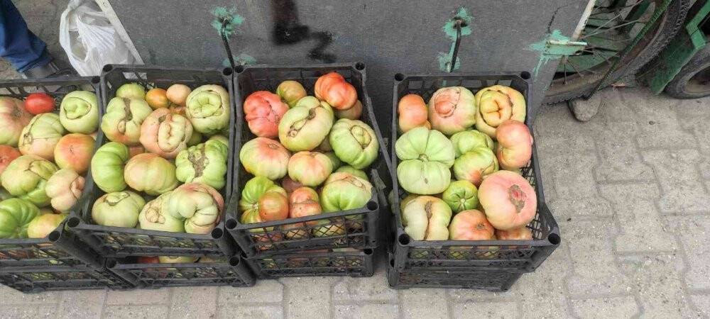 Ağırlığı bir kiloyu aşan dev Sason domatesi tezgahlarda yerini aldı