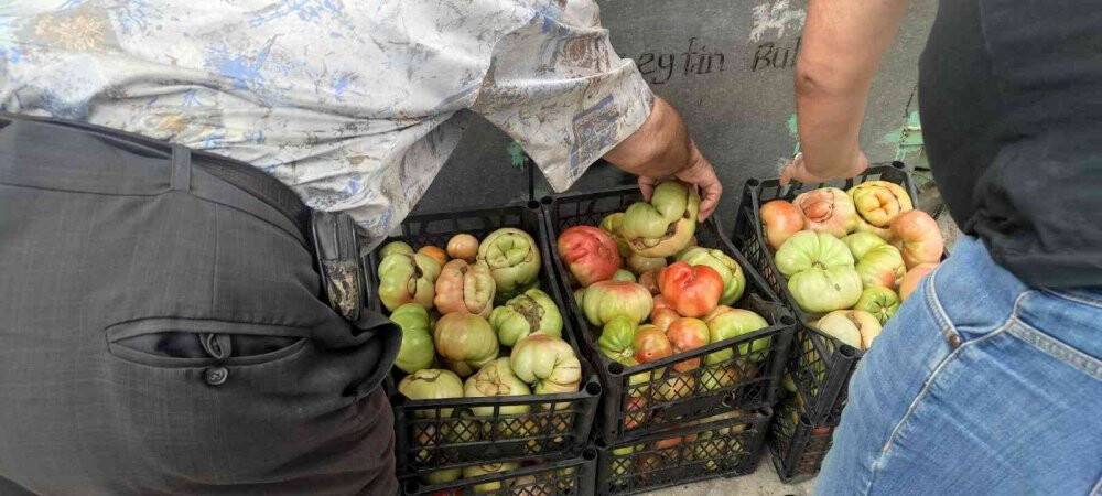 Ağırlığı bir kiloyu aşan dev Sason domatesi tezgahlarda yerini aldı