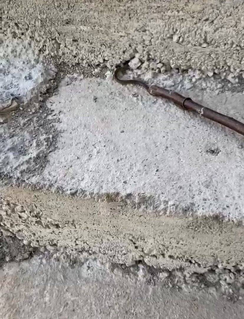 Çılgın çoban önce yılanla oynadı, sonra yaşam alanına bıraktı