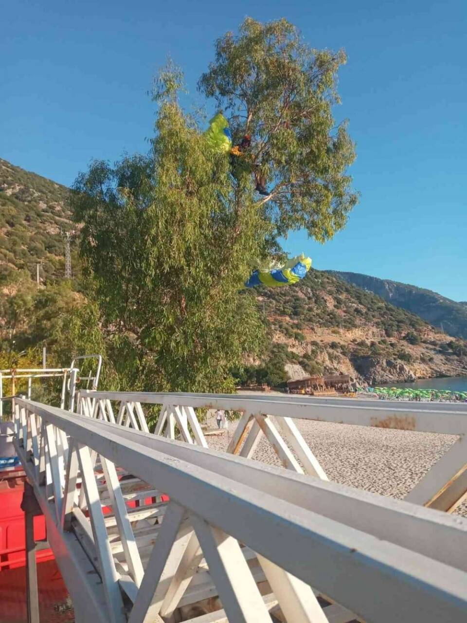 1700 metreden atladı, ağaçta asılı kaldı