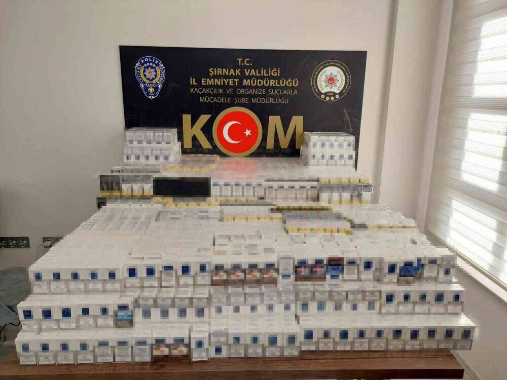 Kaçakçılık ve asayiş operasyonu