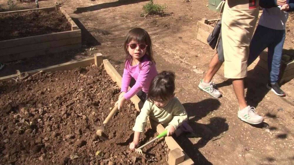 Kadıköy’de bostan ekimi yeni sezonda başladı