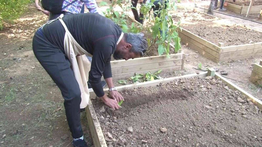 Kadıköy’de bostan ekimi yeni sezonda başladı
