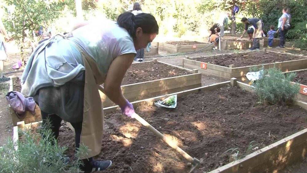 Kadıköy’de bostan ekimi yeni sezonda başladı