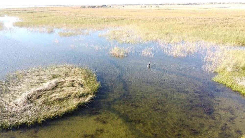 Konya'da at yarışında jokeyini sırtından atan at saatler sonra bulundu